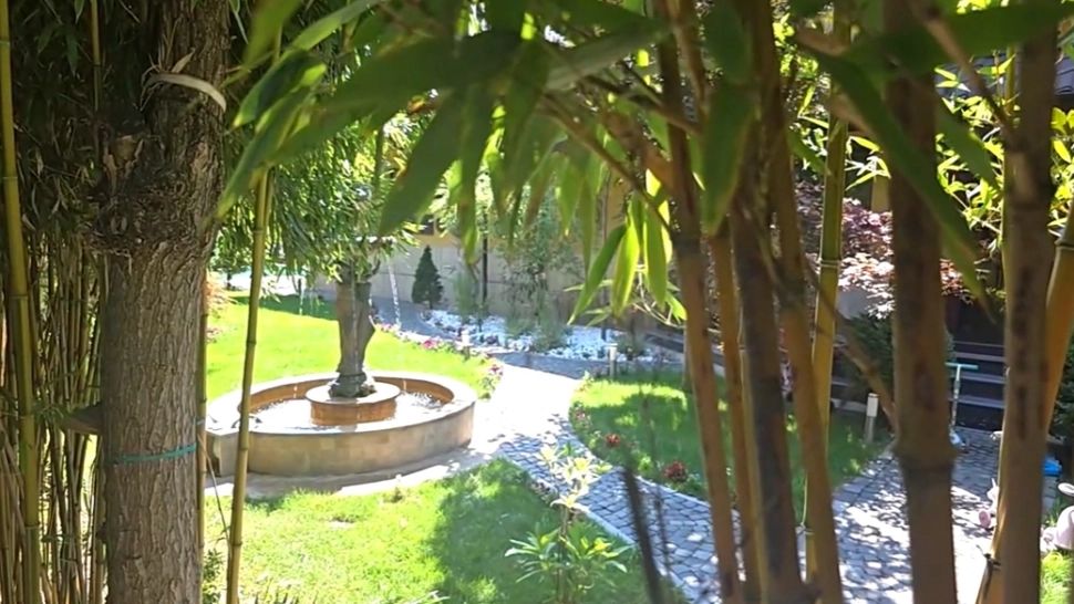 "Fortăreața" lui Piedone: cum arată vila ascunsă a șefului ANPC