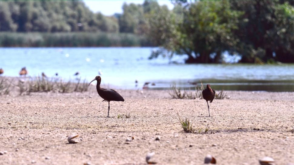 Navigație îngreunată în Delta Dunării din cauza scăderii accentuate a nivelului Dunării