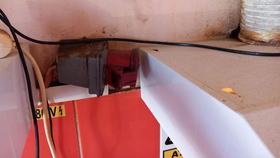 Patiserie din Giurgiu, închisă de Protecția Consumatorilor după un control șocant: insecte vii, igienă precară și pericole electrice