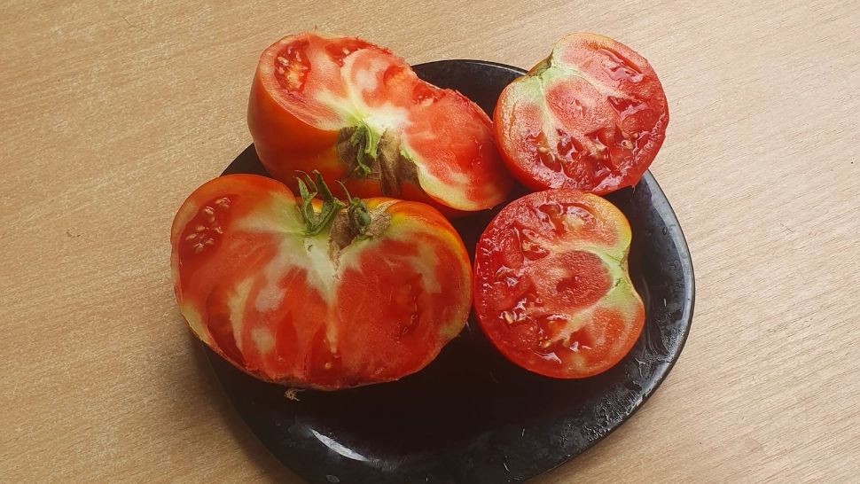 De ce sunt roșiile verzi în interior, cu toate că temperaturile sunt mai mari? Explicațiile producătorilor sunt surprinzătoare