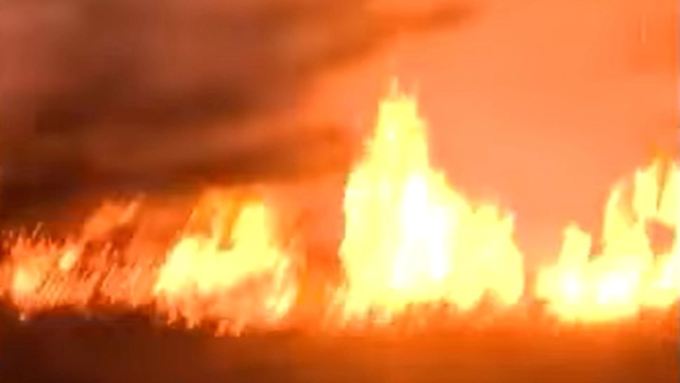 Incendii devastatoare în Bulgaria: 236 de focare, armata mobilizată, ajutor UE în drum