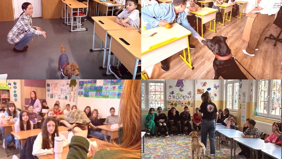 ”Ora cu şi pentru animale” ar putea deveni materie opţională în toate şcolile din România