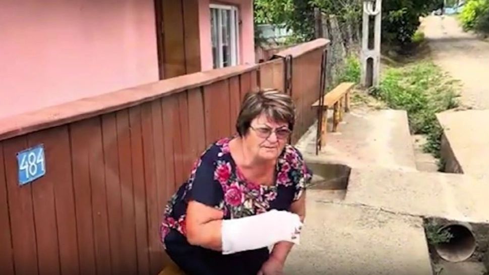 Panică în sat: o femeie a fost mușcată de un șacal turbat în propria curte