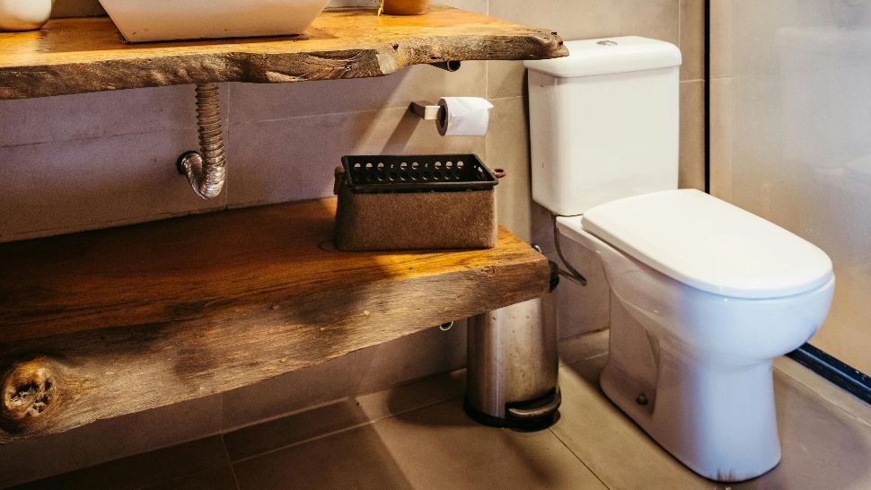 Frecvența mersului la toaletă indică starea generală de sănătate. Ce arată un nou studiu!