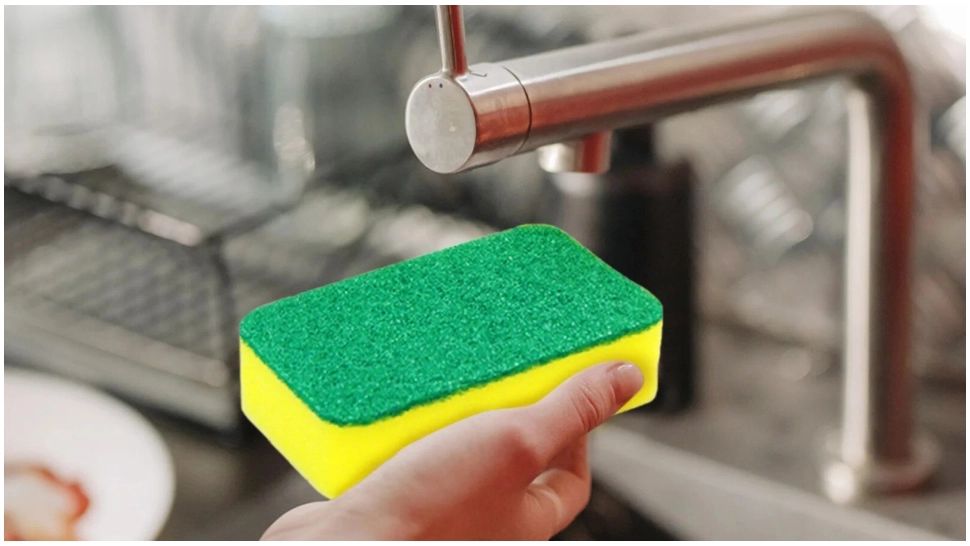 Motivul pentru care trebuie să ții un buretele de vase umed în congelator. Trucul genial care te poate salva în perioadele caniculare