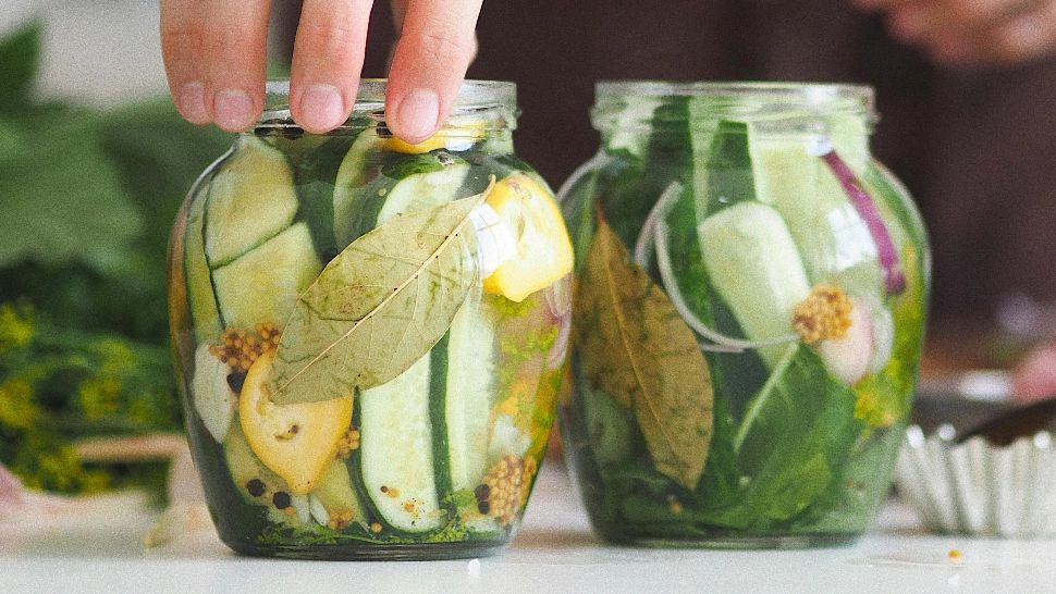 Rețeta de castraveți murați la soare. După câte zile îi poți consuma și ce ingredient îi va menține crocanți și tari?