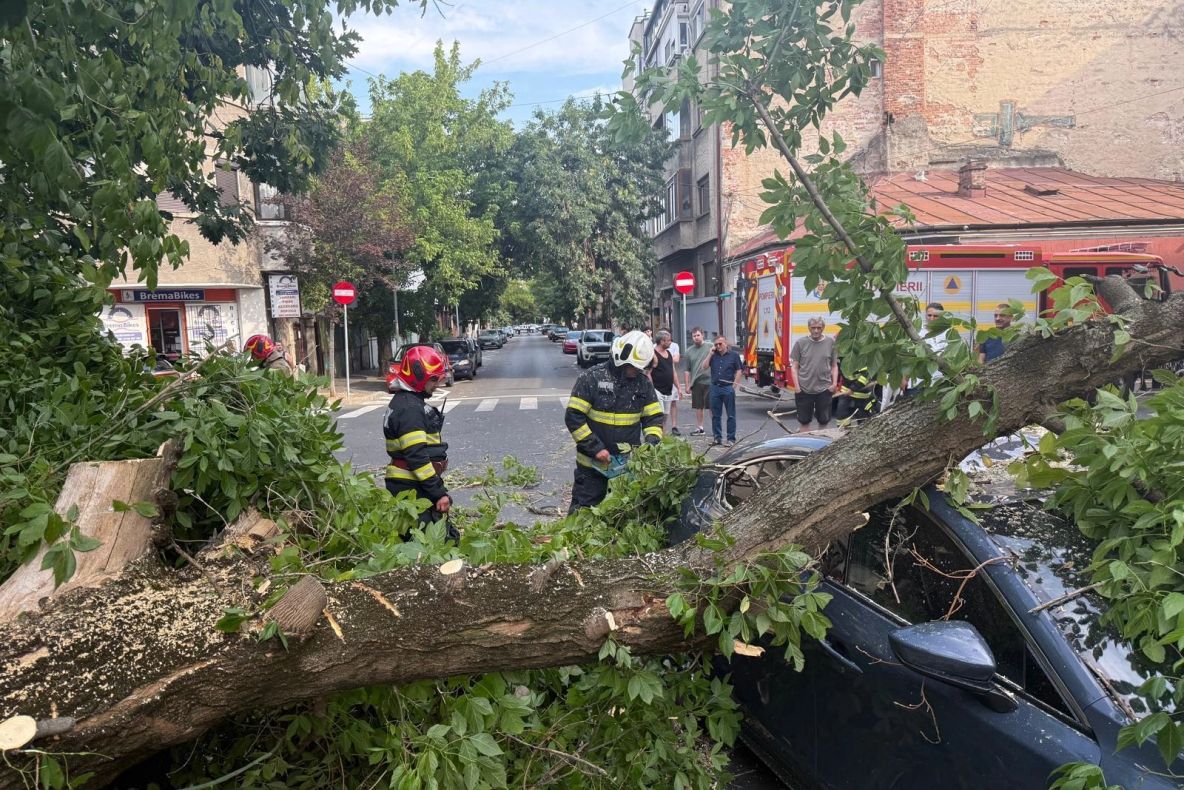 Dezastru în București, zeci de copaci au fost doborâți de furtună, imagini de coșmar - VIDEO/FOTO