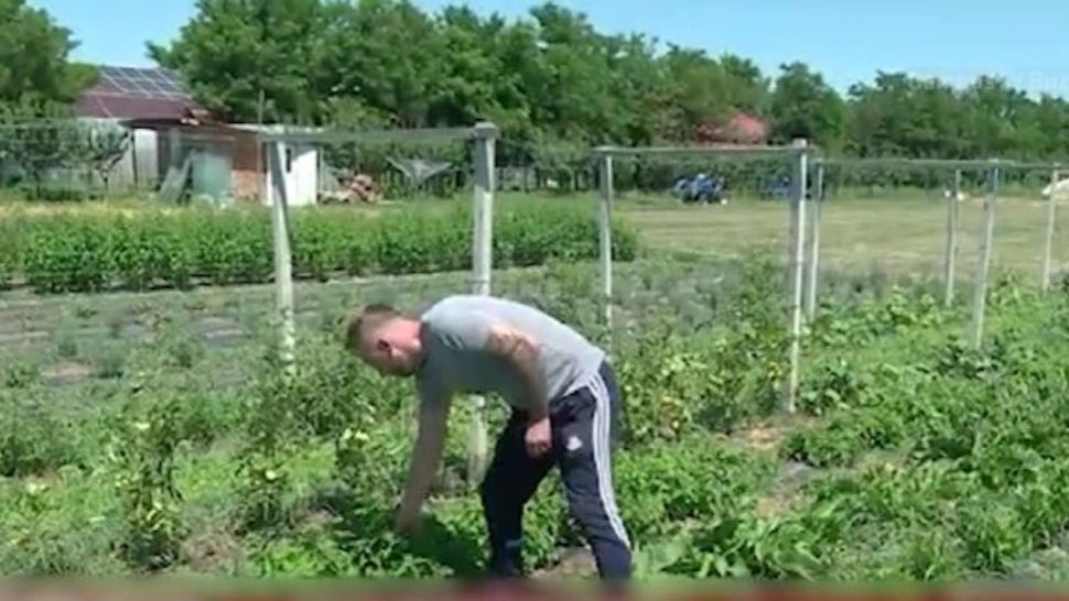 Viața fermierilor se simplifică. Sistem meteo inteligent