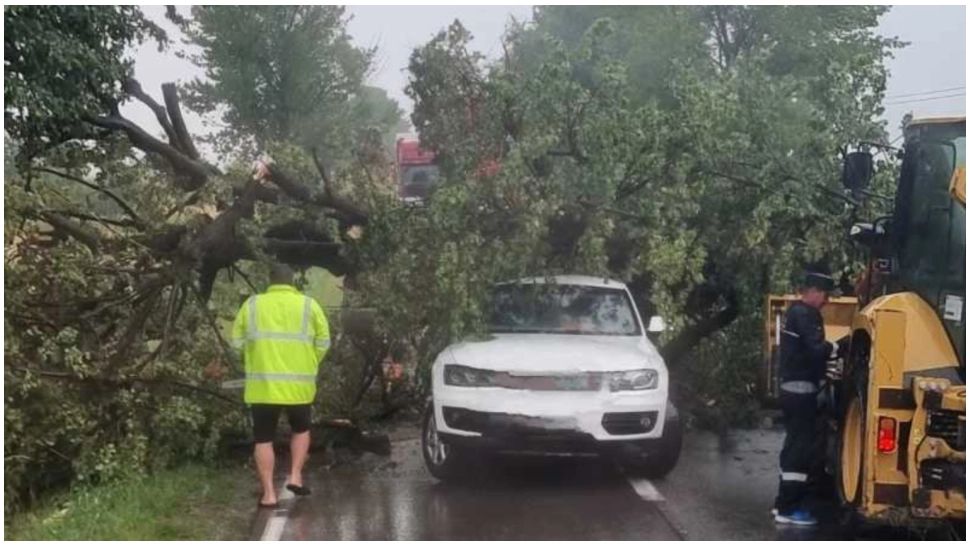Furtuna a făcut ravagii în Neamț! Copac doborât de vânt peste un autoturism aflat în mers. FOTO