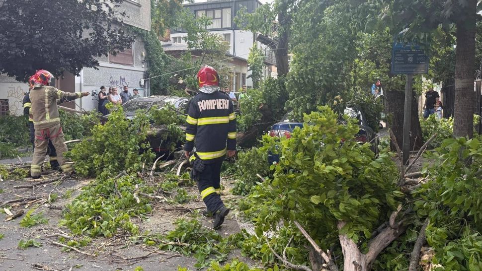 Cod galben de vânt în 13 județe. Vântul poate atinge chiar și 80 de kilometri pe oră - HARTĂ