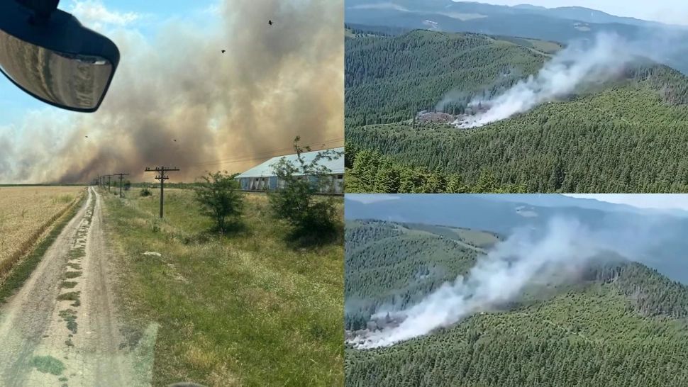 Incendiile de vegetație fac prăpăd în județul Buzău. O fostă exploatare forestieră din Masivul Penteleu arde, din nou. VIDEO