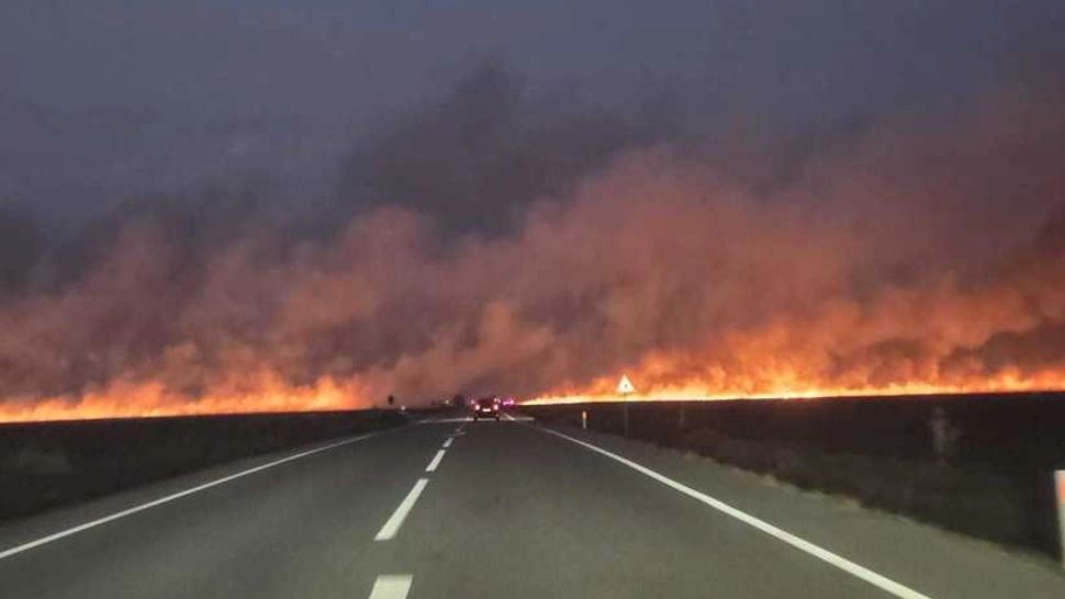 Incendiu violent de vegetație uscată în Dolj. Traficul pe DN 56, în zona Maglavit - Moţăţei Gară este blocat 