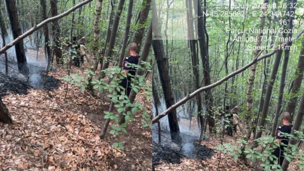 Incendiu în Parcul Național Cozia. Aproximativ trei hectare de vegetație, mistuite de flăcări
