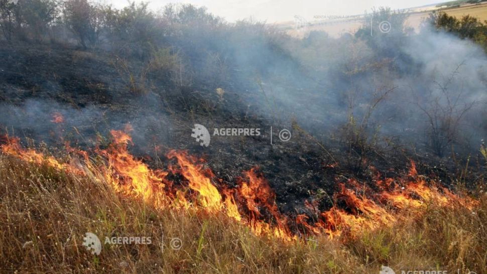 Incendiu în județul Dâmbovița. Ard șase hectare de vegetație uscată și 20 de tone de gunoi menajer