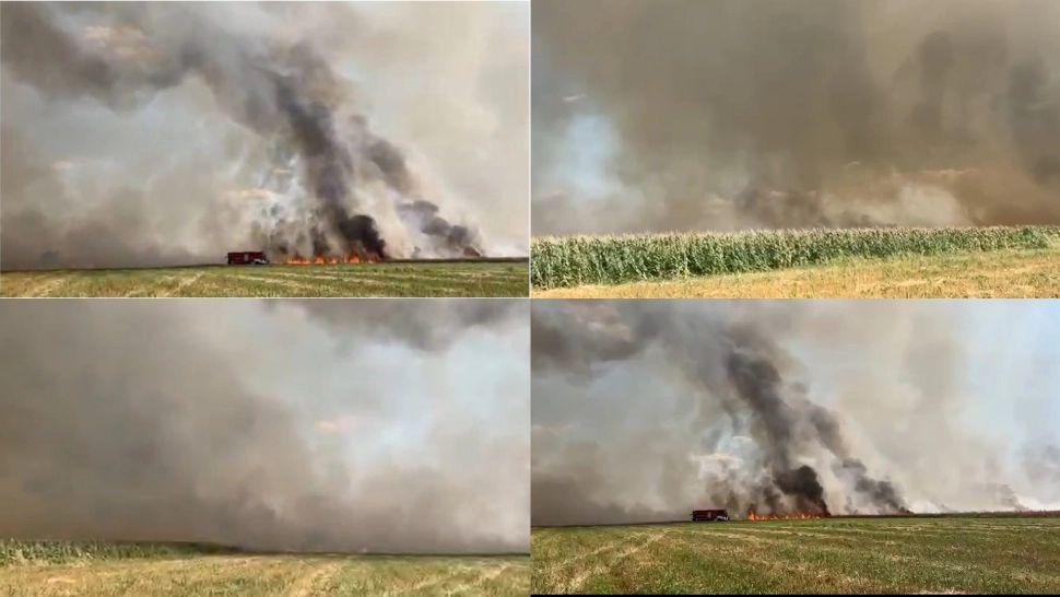 Trafic feroviar oprit în județul Prahova! Ard zeci de hectare de vegetație uscată și culturi agricole