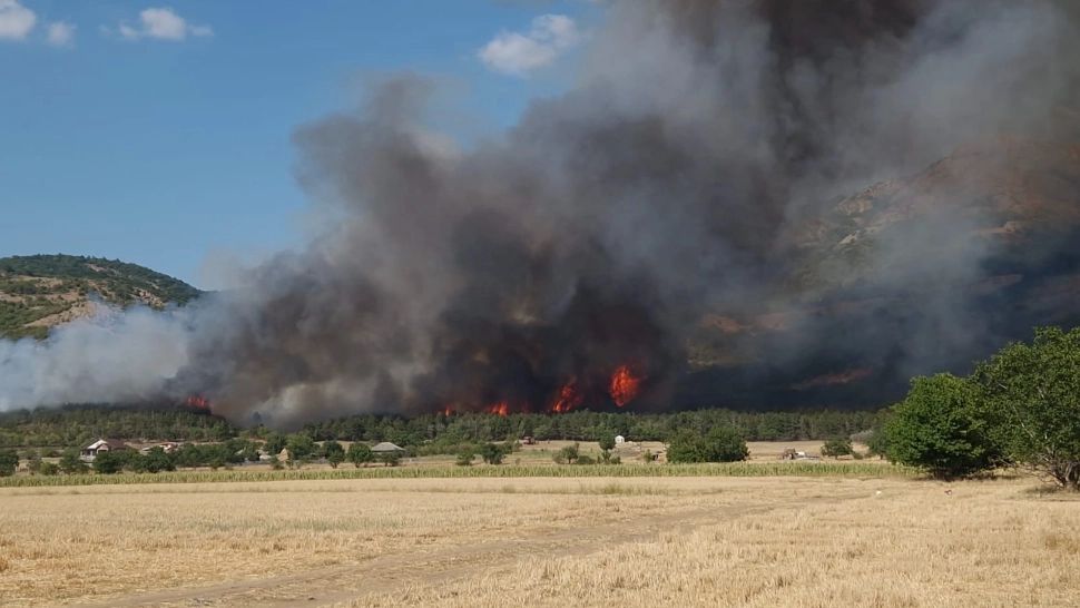 Incendiu devastator, în Tulcea: 80 de hectare de vegetație și pădure au fost făcute scrum. Intervenție contracronometru a pompierilor - VIDEO