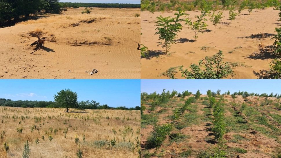 Ministrul Mediului, semnal de alarmă: ”Peste 100.000 de hectare s-au transformat în deşert sau urmează să se deşertifice”