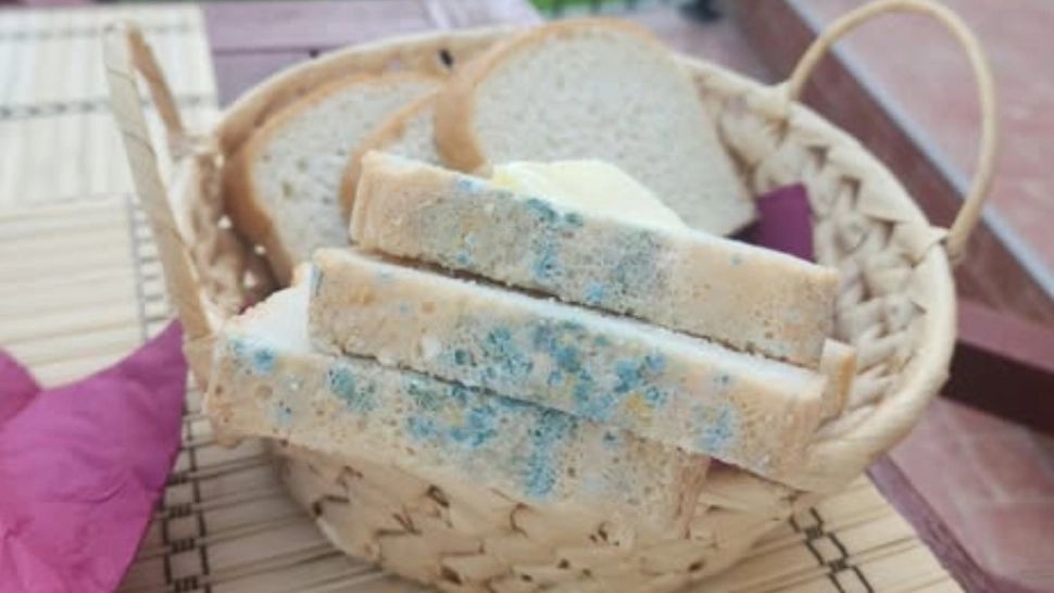 Pâine cu mucegai, ultima „fiță” din Mamaia! ”Știe cineva ce specialitate franțuzească de pâine am primit?”