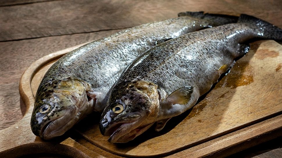 Care este cel mai bun și sănătos pește românesc? De ce trebuie să-l consumi cât mai des. Beneficiile pe care le are pentru sănătate