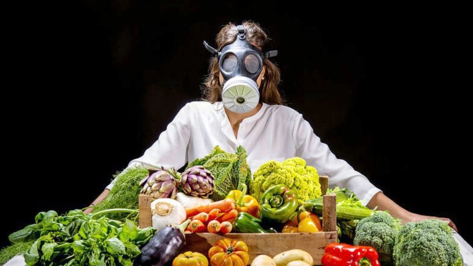 Cum fac greii agriculturii mondiale miliarde din culturi modificate genetic și pline de pesticide  