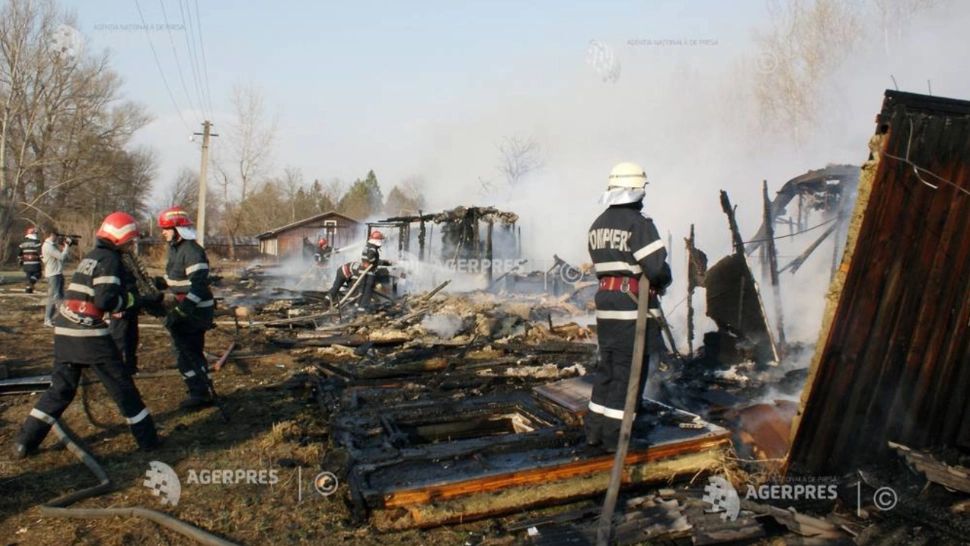 Incendiu de proporții în Tulcea. Adăposturi de animale, anexe gospodărești și porcine, mistuite de flăcări