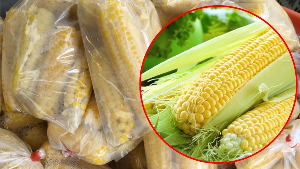 Cât timp rezistă porumbul în congelator. Trucul care te ajută să îl păstrezi în condiții optime 