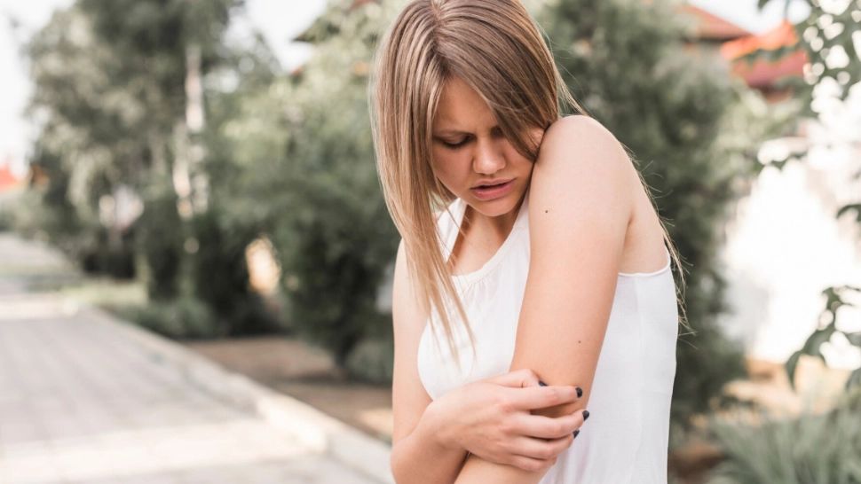 Frunza miraculoasă care alungă puricii. O găsești oriunde în natură 