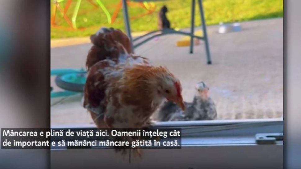 Frumusețile României, motiv de atracție pentru străini. O femeie din America s-a mutat cu familia într-un sat românesc