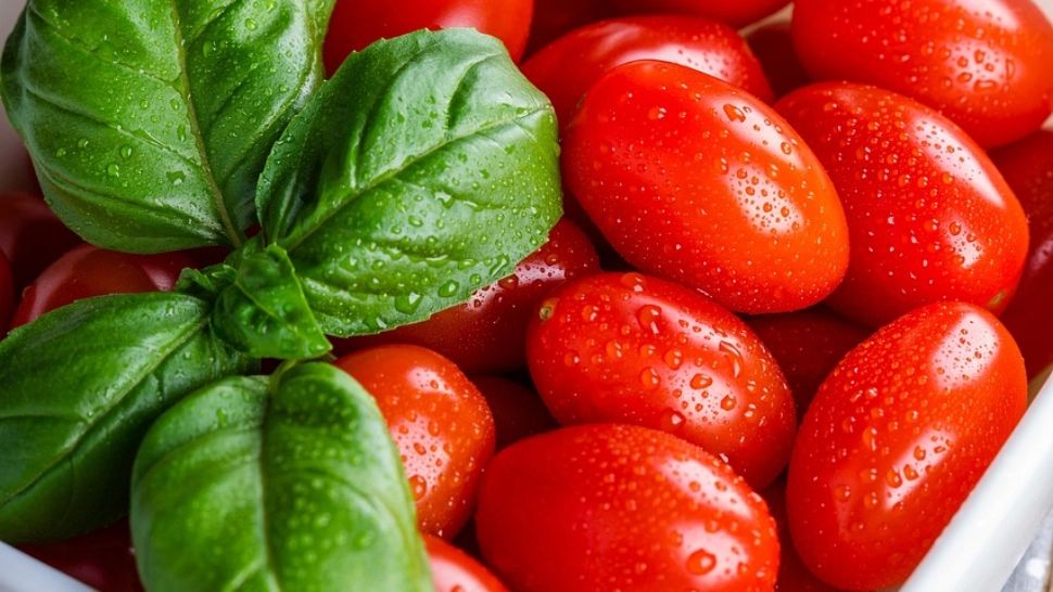 Cum trebuie depozitate corect roșiile pentru a nu-și pierde aroma și gustul. Multă lume face această greșeală