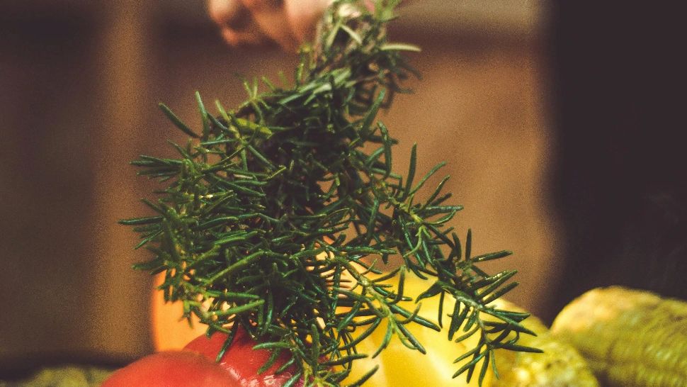 Planta care stimulează memoria și sporește capacitatea de concentrare. O poți cultiva în ghiveci pe toată perioada anului