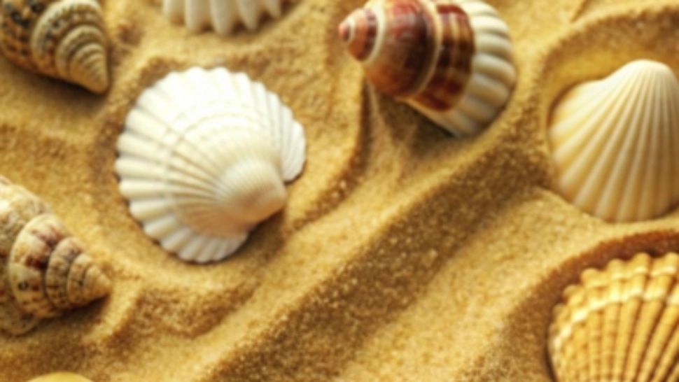 O insulă din Europa apreciată de turiștii români interzice ridicarea scoicilor, pietricelelor și nisipului de pe plajă. Cei care sunt prinși riscă amenzi usturătoare 