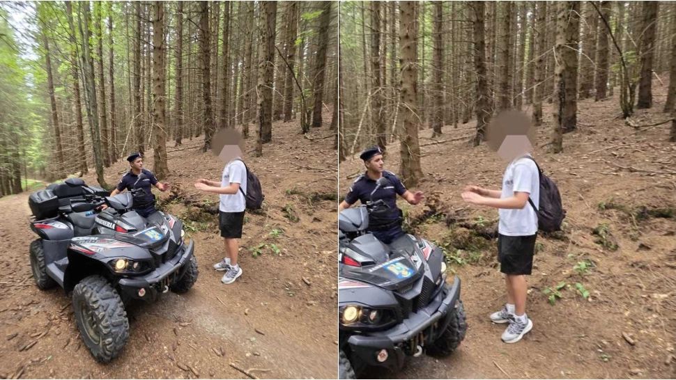 Tânăr plecat în drumeție către Vârful Postăvaru, alergat de urs! Cum a reușit să scape de fiara sălbatică 