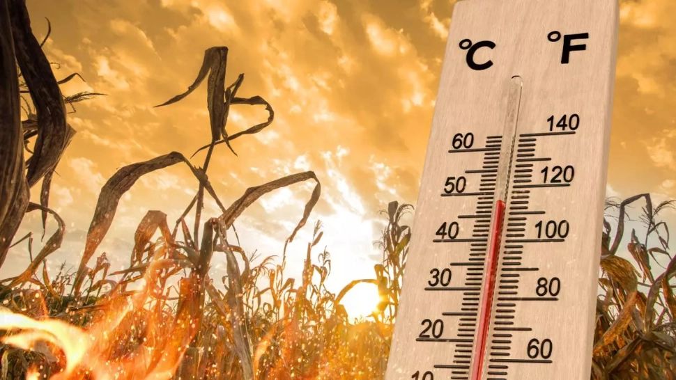 Cod ROȘU și PORTOCALIU de caniculă în jumătate din țară. Meteorologii anunță un weekend de foc, cu 43 de grade la umbră - HARTĂ