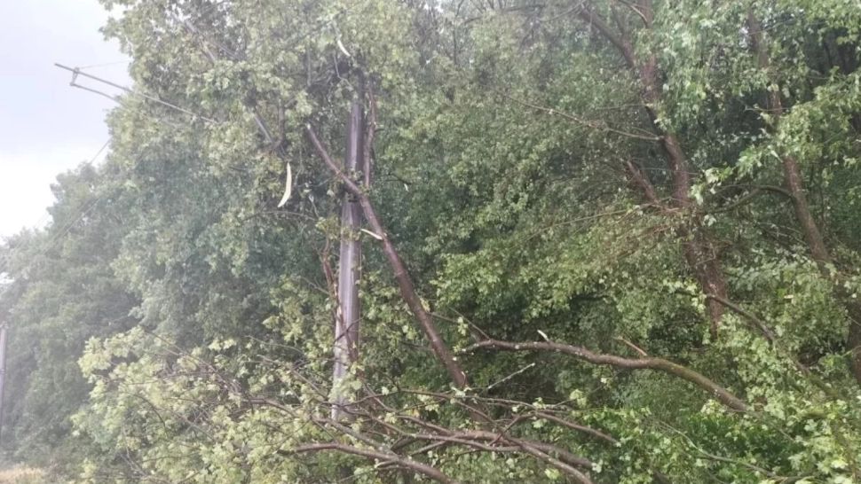 Circulația trenurilor, îngreunată de copaci căzuți pe linia ferată, în zona Brașov. Mai multe trenuri de călători, oprite în gări