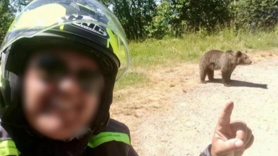  Un tânăr a lăsat motocicleta „pradă” la urs, dar a scăpat cu viață