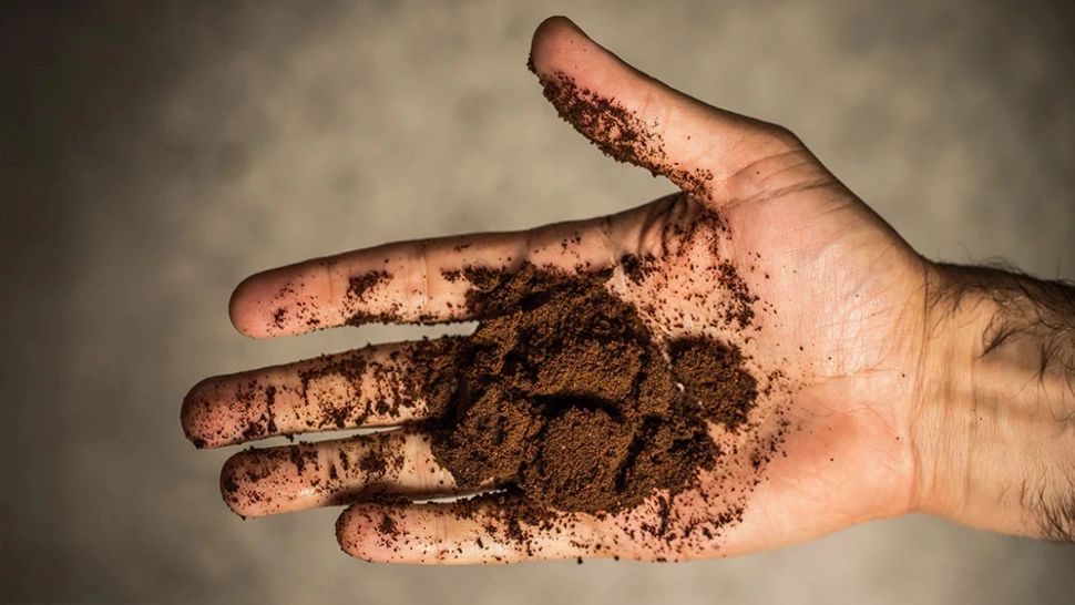 Motivul pentru care trebuie să îți speli mâinie cu zaț de cafea și zahăr. Trucul natural pe care o să îl adori