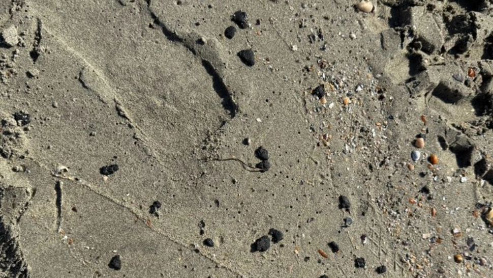 Poluare la malul mării: biluțe de petrol pe mai multe plaje. Turiștii se plâng pe rețelele sociale