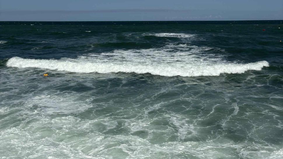 Alertă pe litoralul Mării Negre: O bacterie periculoasă pentru copii și consumatorii de fructe de mare se răspândește rapid