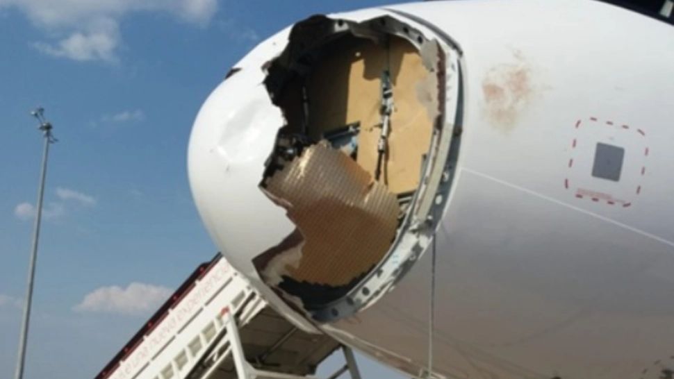 O aeronavă care efectua un zbor Madrid-Paris s-a întors din drum după o coliziune cu un vultur: imagini șocante FOTO&VIDEO