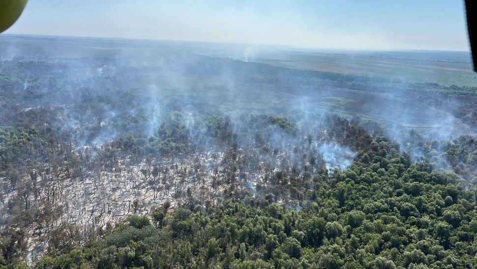 Pompierii continuă misiunea de stingere a incendiului de la Chilia Veche. Au ars 70 de hectare de pădure