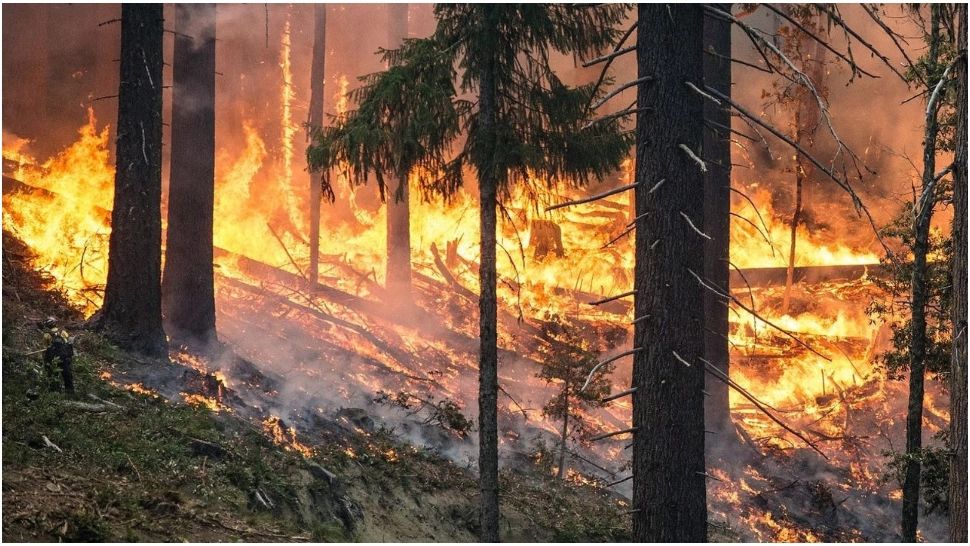 MAE, atenționare de călătorie pentru Franța! Incendiile de vegetație fac prăpăd în Hexagon