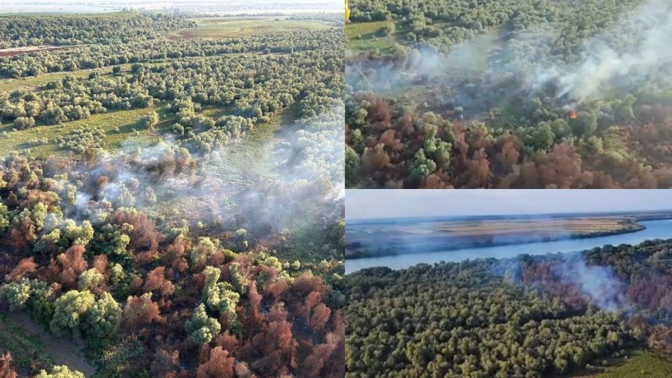 Incendiu masiv de vegetaţie uscată, stuf şi fond forestier în Tulcea! Elicopter Black Hawk, trimis la intervenţie 