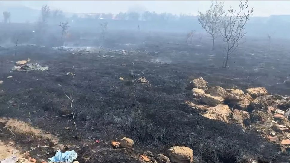 Incendiu uriaș de vegetație la periferia Craiovei, autoritățile au emis un mesaj RO-Alert - VIDEO