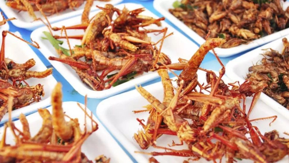 Cum să descoperi dacă produsele de la raft conțin făină de insecte. Detaliul de pe etichetă care îi dă de gol pe producătorii necinstiți