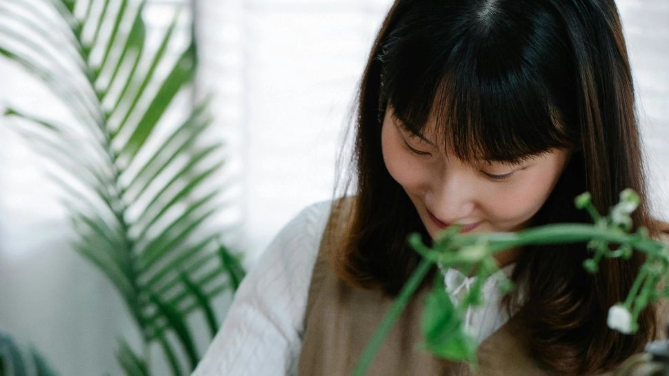 Cum își păstrează japonezele silueta. 7 sfaturi de urmat pentru a te menține tânără