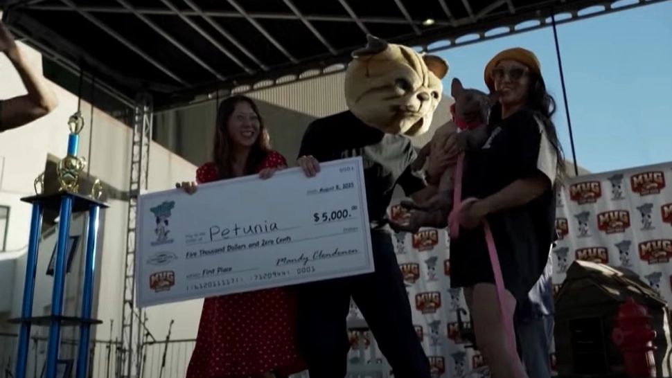 Cum arată Petunia cel mai urât câine din lume VIDEO