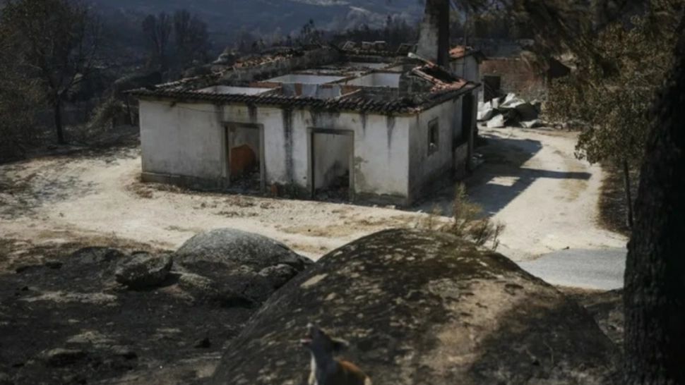 Portugalia, lovită de cel mai mare incendiu de pădure din istorie: peste 64.000 de hectare distruse