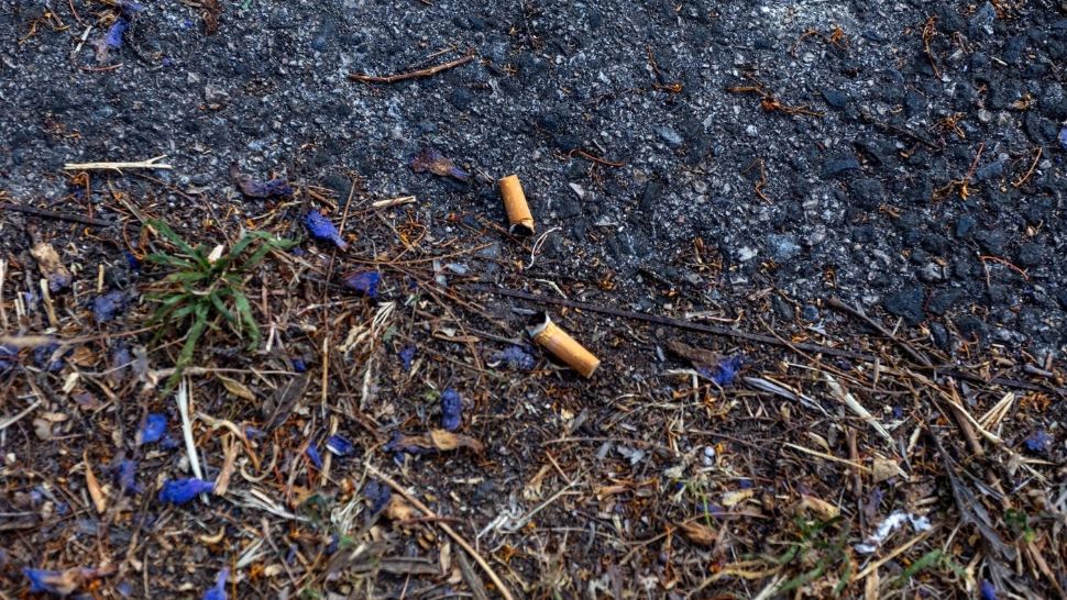 Filtrele de țigări nu protejează sănătatea, ci doar poluează natura - studiu. Experții cer interzicerea lor