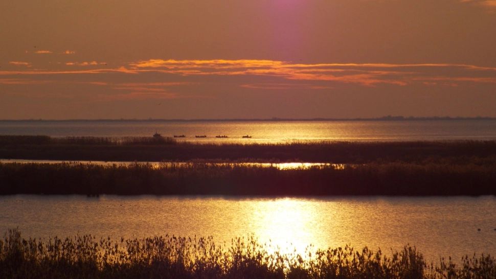 Nivelul apei din complexul Razim-Sinoe, tot mai scăzut. Semnalul de alarmă tras de specialiști 