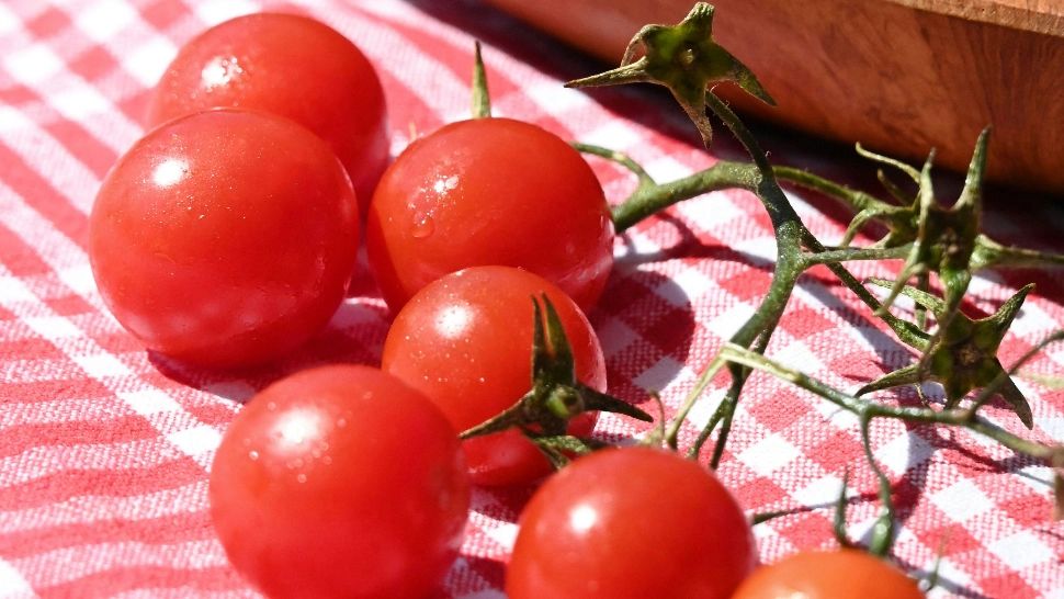 China lansează roșiile cu aromă de floricele cu unt. Polemici legate de resetarea gusturilor tradiționale